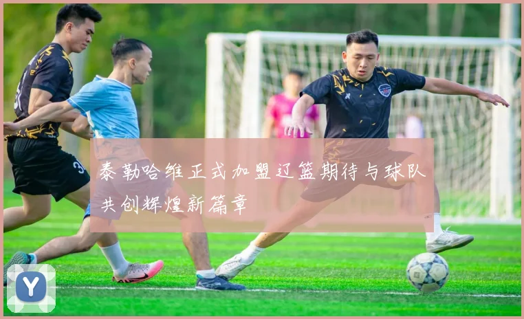 泰勒哈维正式加盟辽篮期待与球队共创辉煌新篇章