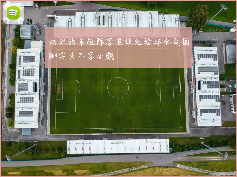 切尔西年轻阵容虽缺经验却全是国脚实力不容小觑