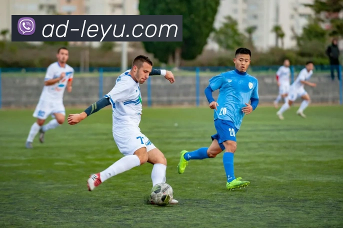 乐鱼体育平台生态图