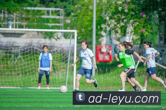 乐鱼体育APP 封面图